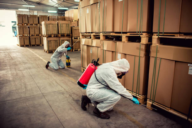 Best Wasp Removal Services  in Temple Hills, MD