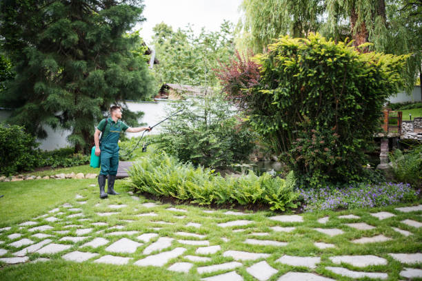 Best Pest Prevention Services  in Temple Hills, MD