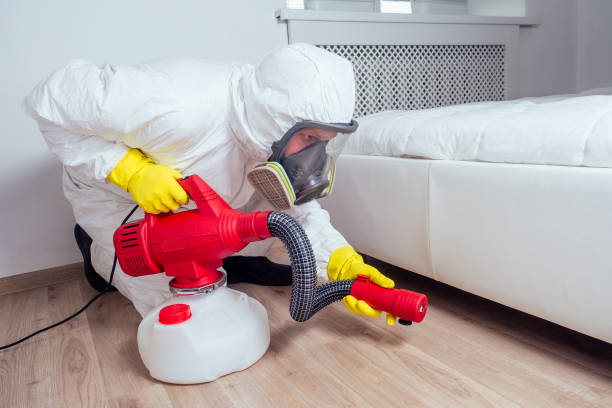 Insect Control in Temple Hills, MD